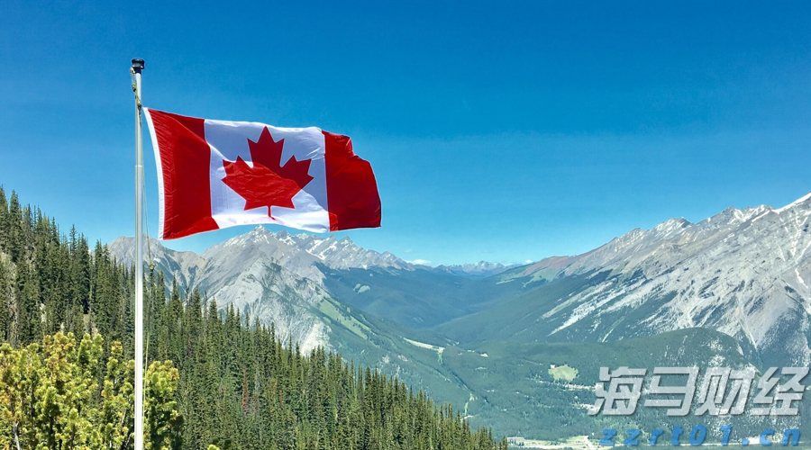 泰康第24届世纪圣典入围人员，HWP占比超40%